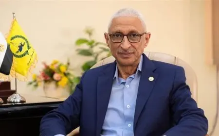 محافظ شمال سيناء: زيارة ماكرون للعريش تأييد لموقف مصر الرافض للتهجير