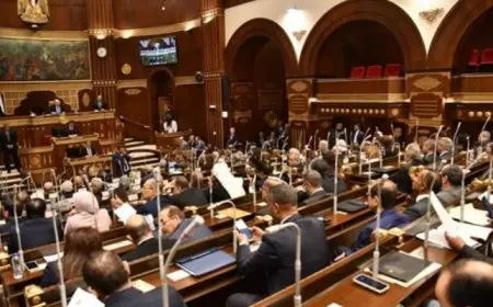 اليوم.. مجلس الشيوخ يناقش تقرير لجنة الشئون المالية عن النظام الجمركى