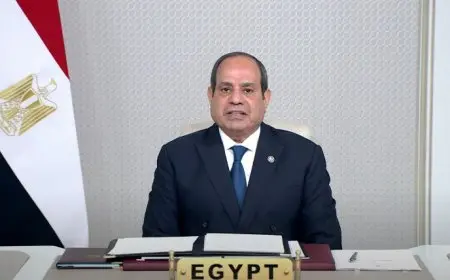 السيسي يجتمع برئيس مجلس إدارة شركة ألستوم الفرنسية لبحث التعاون في مشروعات النقل وتوطين الصناعة بمصر