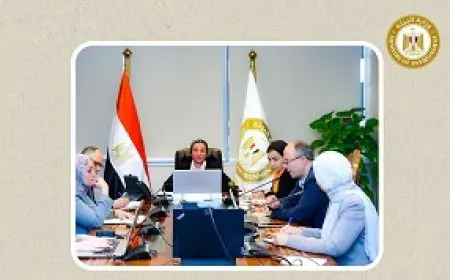 البيئة تطلق استراتيجية متكاملة لحماية مسارات الطيور المهاجرة وتعزيز مشروعات الطاقة المتجددة