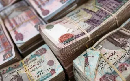 مسجلا 51.35 جنيه.. الجنيه يتعرض لضغوط الحروب التجارية ويهبط لأدنى مستوى في تاريخه أمام الدولار