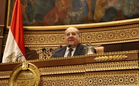 رئيس مجلس الشيوخ: قطعنا شوطا كبيرا في دراسة الأثر التشريعي للقوانين