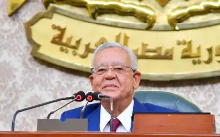 حنفي جبالي: النظام الدولى عاجز عن وقف ما يتعرض له الشعب الفلسطينى من جرائم وإبادة جماعية