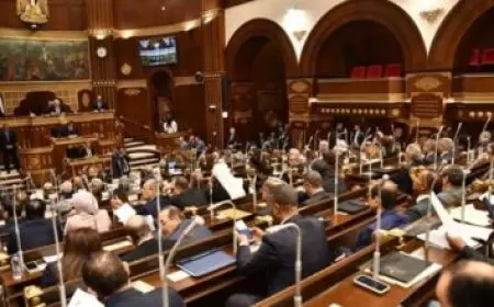 رئيس برلمانية حماة الوطن: الشركات التجارية أحد دعائم الاقتصاد الوطني ويطالب بتسهيل الإجراءات