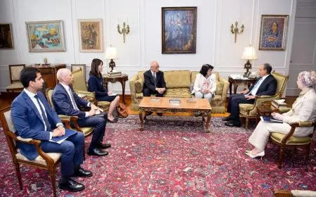 وزير الخارجية والهجرة يلتقي بعضو مجلس النواب الياباني