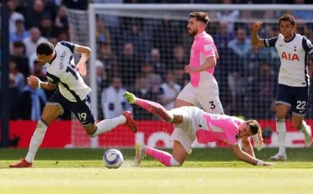 ساوثهامبتون يسجل أسرع هبوط من الدوري الممتاز بعد سقوطه أمام توتنهام