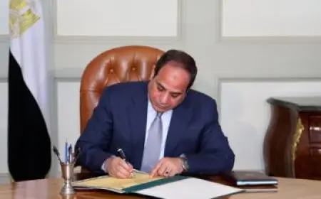 ياسر برهامي عن فتوى الجهاد ضد إسرائيل: أهل غزة قرروا الحرب منفردين ولم يشاوروا سوى إيران