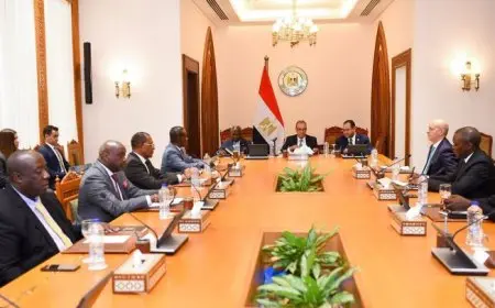 وزير الخارجية يستقبل أعضاء اللجنة التنفيذية للرابطة الإفريقية للإدارة العامة في مصر