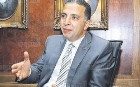 أحمد السويدي: تعريفات ترامب تعزز فرص التصدير من مصر