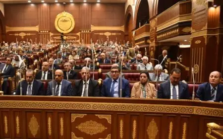 مجلس الشيوخ يناقش تعزيز دور النافذة الواحدة للإفراج الجمركي