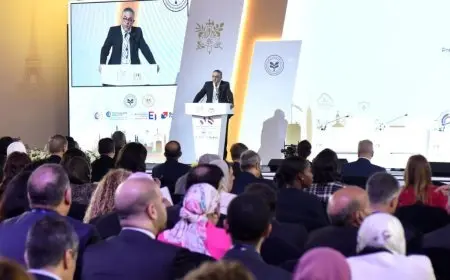 رئيس هيئة الاستثمار: 46.6 مليار دولار إجمالي تدفقات الاستثمار الأجنبي إلى مصر خلال 2024