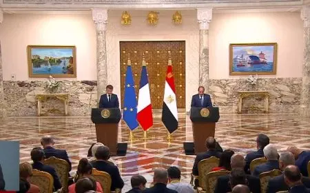 السيسي وماكرون يشددان على ضرورة إنهاء الاحتلال الإسرائيلي لسوريا