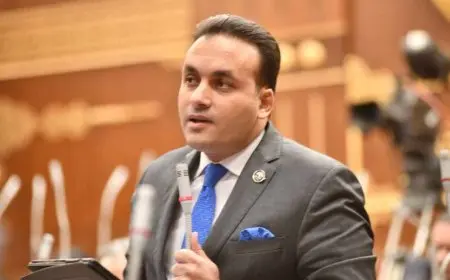 النائب عمرو فهمي: استضافة مصر للقمة المصرية الفرنسية الأردنية يؤكد دورها المحوري لوقف نزيف الدماء بغزة