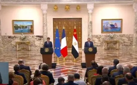 قيادي بمستقبل وطن: القمة المصرية الفرنسية الأردنية تحمل طابعا جديا لحل القضية الفلسطينية