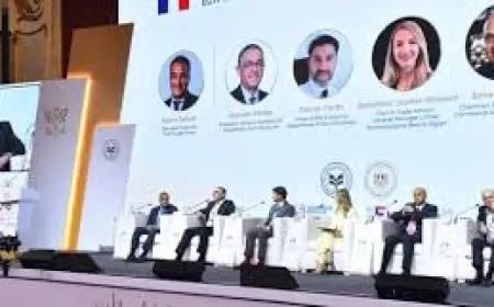 العلاقات المصرية الفرنسية.. تمويلات بـ4 مليارات يورو من فرنسا للقطاعين الحكومي والخاص بمصر