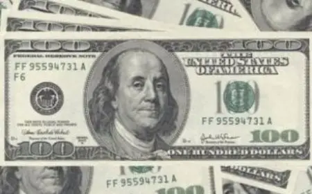 الدولار يقلص مكاسبه أمام الجنيه في منتصف التعاملات.. ويسجل 51.46 جنيه للبيع