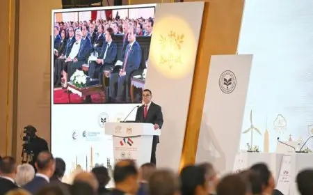 وزير الاستثمار: 7.7 مليار دولار الاستثمارات الفرنسية الحالية في مصر من خلال 180 شركة فرنسية