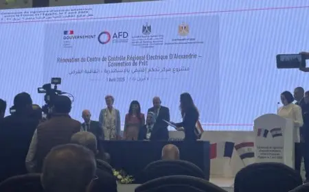 مصر وفرنسا توقعان على عدد من بروتوكولات التعاون في مجالي الصحة والنقل