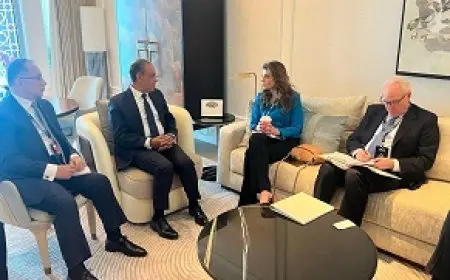 وزير الخارجية: من الضروري تأكيد اتفاق وقف إطلاق النار في غزة وضمان تنفيذ مراحله الثلاث