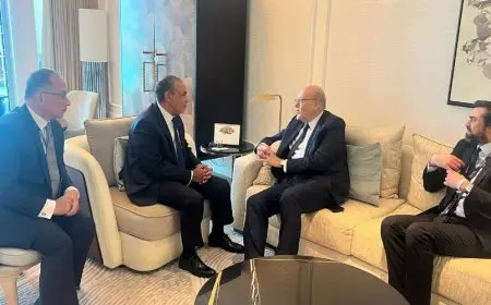 ميقاتي: نثمّن دعم الرئيس السيسي ومصر الدائم للبنان