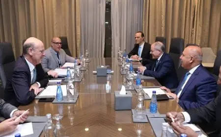 وزير الصناعة: نولي اهتمامًا بتعزيز التعاون مع فرنسا في إقامة مصانع لإنتاج خلايا الطاقة الشمسية