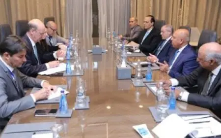 وزير الدفاع والإنتاج الحربي يتلقى زيارة من وزير الجيوش الفرنسي