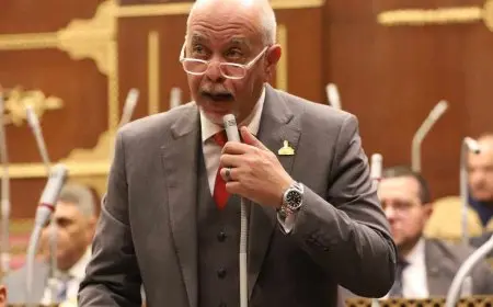 النائب حازم الجندي: زيارة ماكرون للعريش تعزز تأييد المجتمع الدولي للقضية الفلسطينية