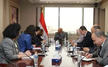 وزير الكهرباء يناقش مع وفد مجموعة E D F الفرنسية سبل تعزيز التعاون في مجالات الطاقة المتجددة