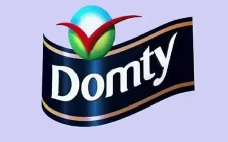 مجلس إدارة شركة دومتي يوافق على فصل الشركة إلى شركتين