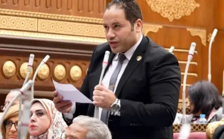 النائب مصطفى سالمان: تجمع المصريين أمام معبر رفح يعكس تضامن الشعب المصري مع قيادته