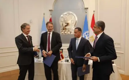 بدء مرحلة جديدة من مبادرة الحوار المصري الدنماركي بمشاركة الأمم المتحدة