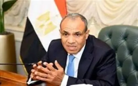 عبد العاطي: أهمية تحقيق أفق سياسي يفضي إلى تسوية نهائية تنهي الاحتلال الإسرائيلي