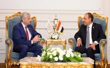 وزير الخارجية يلتقي مدير المركز الدولي لتطوير سياسات الهجرة