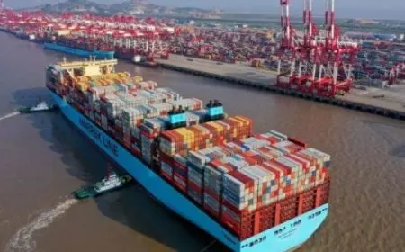 ارتفاع قيمة الصادرات بنسبة 20% خلال شهر يناير 2025