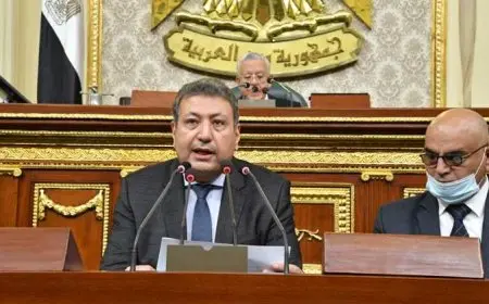 سؤال برلماني بشأن استراتيجية استثمار زيارة ماكرون لمصر في المجال الاقتصادي