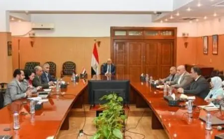 وزير الخارجية يلتقي برئيس وزراء ولاية ساكسونيا الحرة في ألمانيا