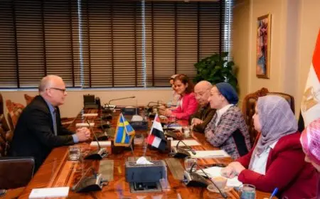 وزيرة البيئة تتباحث مع السفير السويدي حول تعزيز التعاون في مجال التحول الأخضر ودعم القضايا المناخية