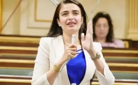 طلب إحاطة للحكومة لإزالة المعوقات في منطقة الأهرامات الأثرية والاستجابة لشكاوى الزوار والمرشدين السياحيين