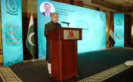 سفير باكستان: استثماراتنا في مصر بلغت 400 مليون دولار