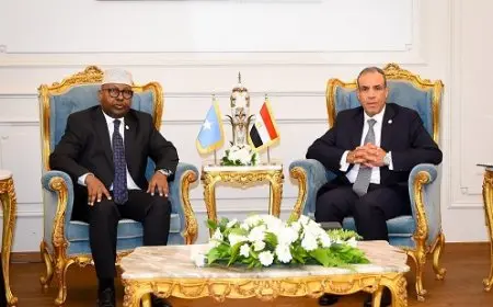 وزير الخارجية ي reiterates لنظيره الصومالي التزام مصر بوحدة وسلامة الأراضي الصومالية