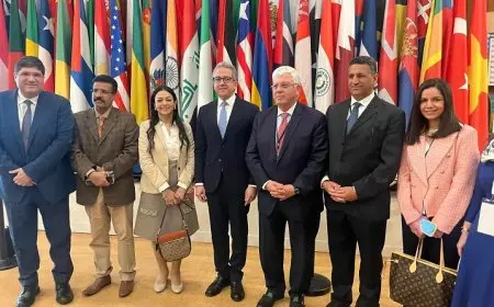 خالد العناني يقدم رؤيته كمرشح لمصر لمنصب مدير عام اليونسكو بحضور وزير التعليم العالي