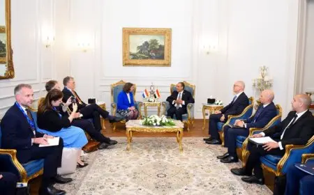 وزير الخارجية: نركز على تشجيع الهجرة النظامية للمهارات إلى سوق العمل الأوروبي