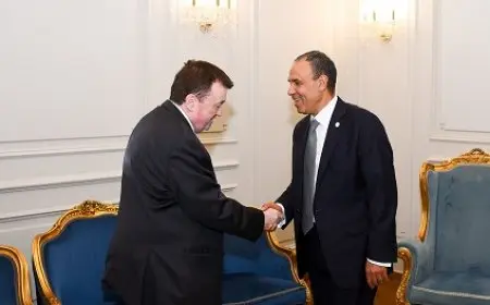 وزير الخارجية: نرغب في التقدم نحو توقيع مذكرة تفاهم للتعاون في مجال التدريب المهني بين مصر وأيرلندا