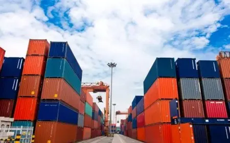 الحكومة: نقوم بإجراء دراسة شاملة لتأثيرات قرارات الرسوم الجمركية