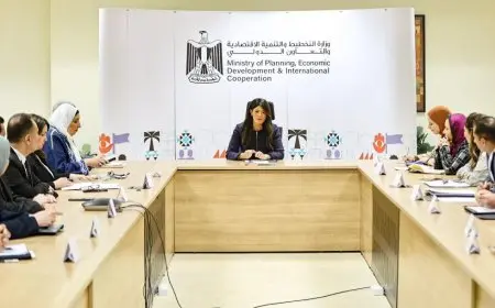 المشاط تقود اجتماعاً تحضيرياً للجنة المشتركة المصرية المجرية للتعاون الاقتصادي والعلمي والفني