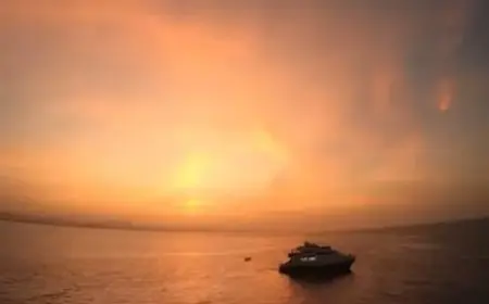 البيئة تُطلق فيلمًا وثائقيًا ترويجيًا عن محميات جزر البحر الأحمر: جمال لا يزال يُخبئ أسراره