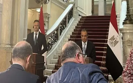 وزير الخارجية: مصر والأردن ترفضان محاولات تهجير الفلسطينيين تحت أي ذرائع إسرائيلية