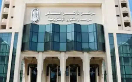 مرصد الأزهر: التفكك الأسري يُعتبر بيئة ملائمة لحدوث انحراف الشباب نحو التطرف الفكري