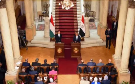 عبد العاطي ووزير الخارجية والتجارة المجري يناقشان تعزيز التبادل التجاري والتعاون في مجالي السياحة والطيران