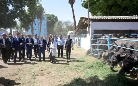 رئيس الوزراء يقوم بزيارة محطة الثروة الحيوانية في قرية الحمام بمركز أبنوب في أسيوط